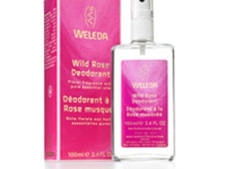 Deodorant Wild Rose 3.4 Fl Oz By Weleda Sale