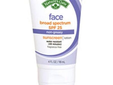 Face Block SPF 25 4 oz By Nature s Gate on Sale