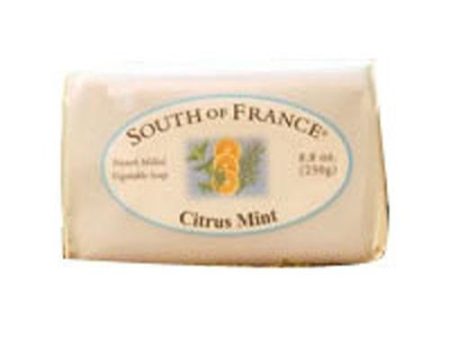 Bar Soap Vanilla Creme Caramel 3.5 Oz By South Of France Soaps Sale