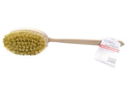 Tampico Skin Brush 1 Each By Yerba Prima For Discount